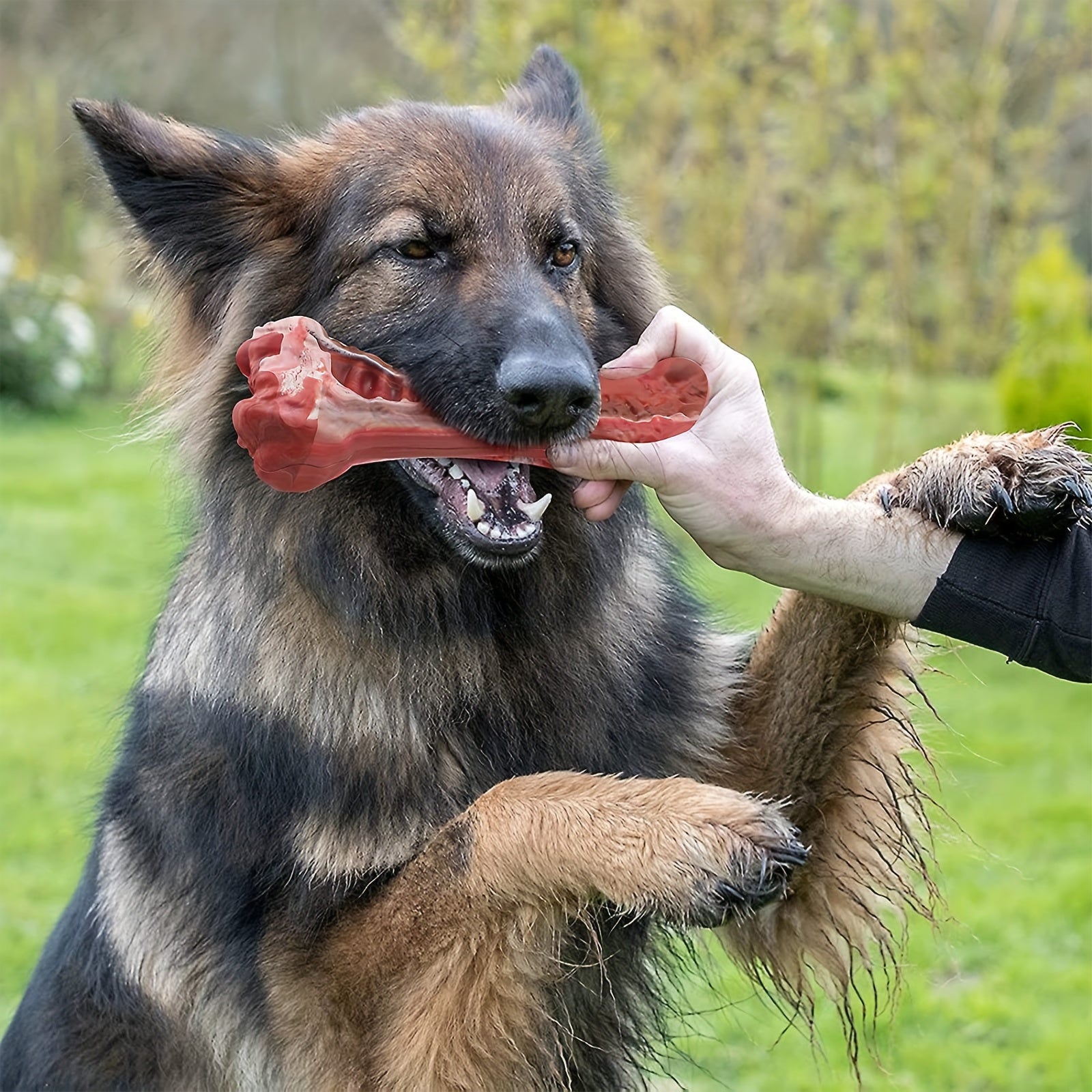 Indestructible Dog Chew Bone - Tough, Safe, and Fun | Pets Toys|