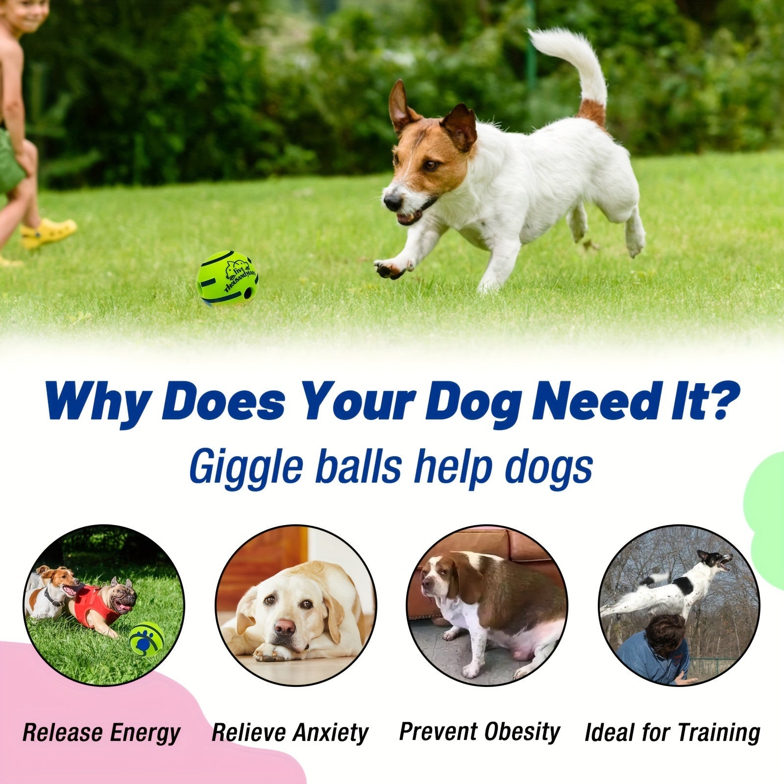 Giggle Ball Dog Toy - Interactive IQ Training | Pets Toys|