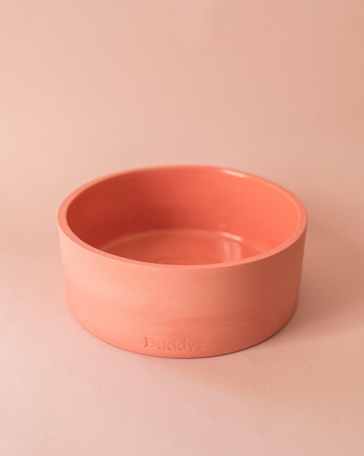 Buddy Dog Food and Water Bowl, Coral Small