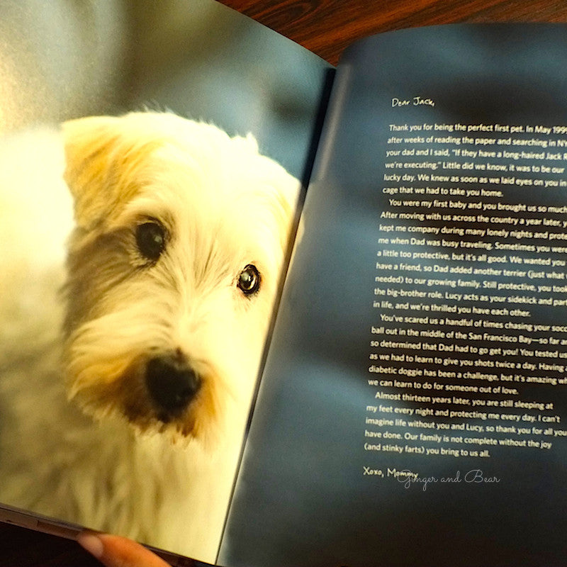 Book: A Letter to My Dog