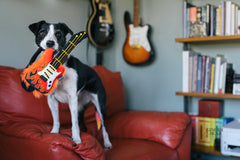 P.L.A.Y. 90s Classic Squeaky Plush Dog toys, Rock'n Rollover Guitar