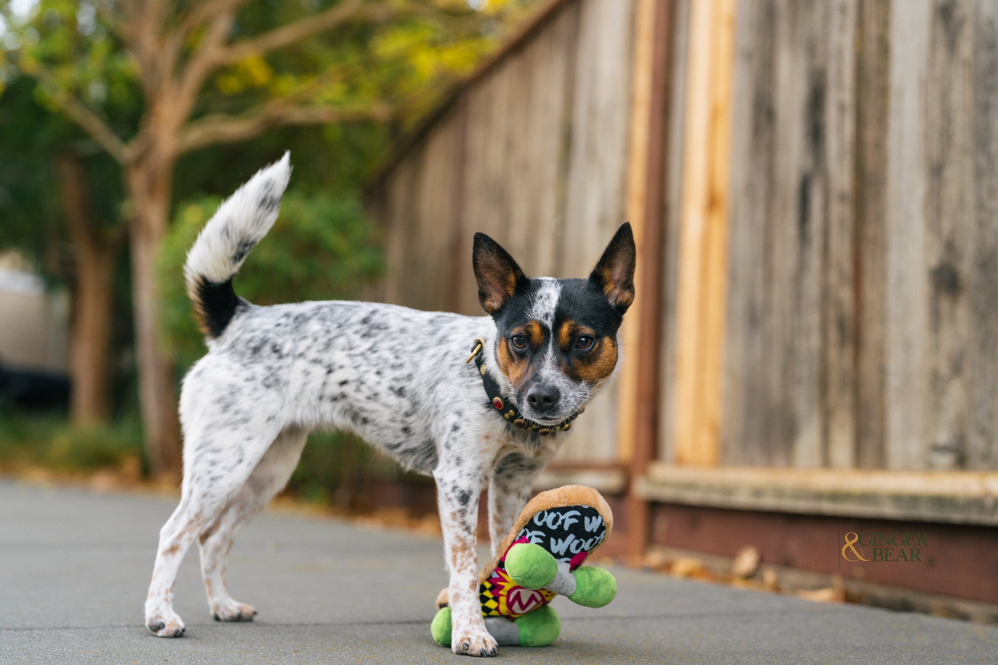 P.L.A.Y. 90s Classic Squeaky Plush Dog toys, Kickflippin' K9 SkateBoard