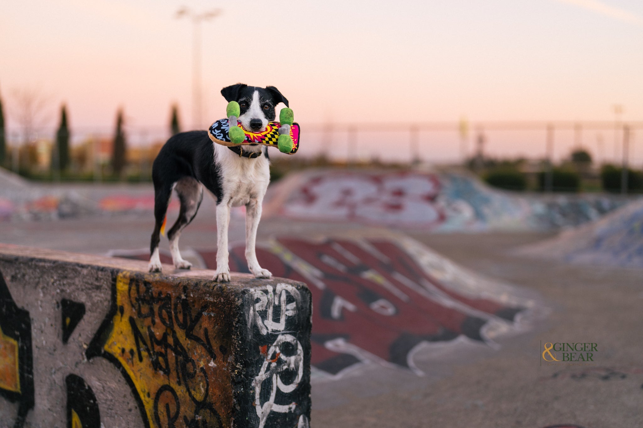 P.L.A.Y. 90s Classic Squeaky Plush Dog toys, Kickflippin' K9 SkateBoard