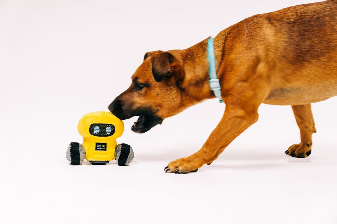 P.L.A.Y Alien Buddies Interactive 2-in-1 Dog toys, Robo-Rover