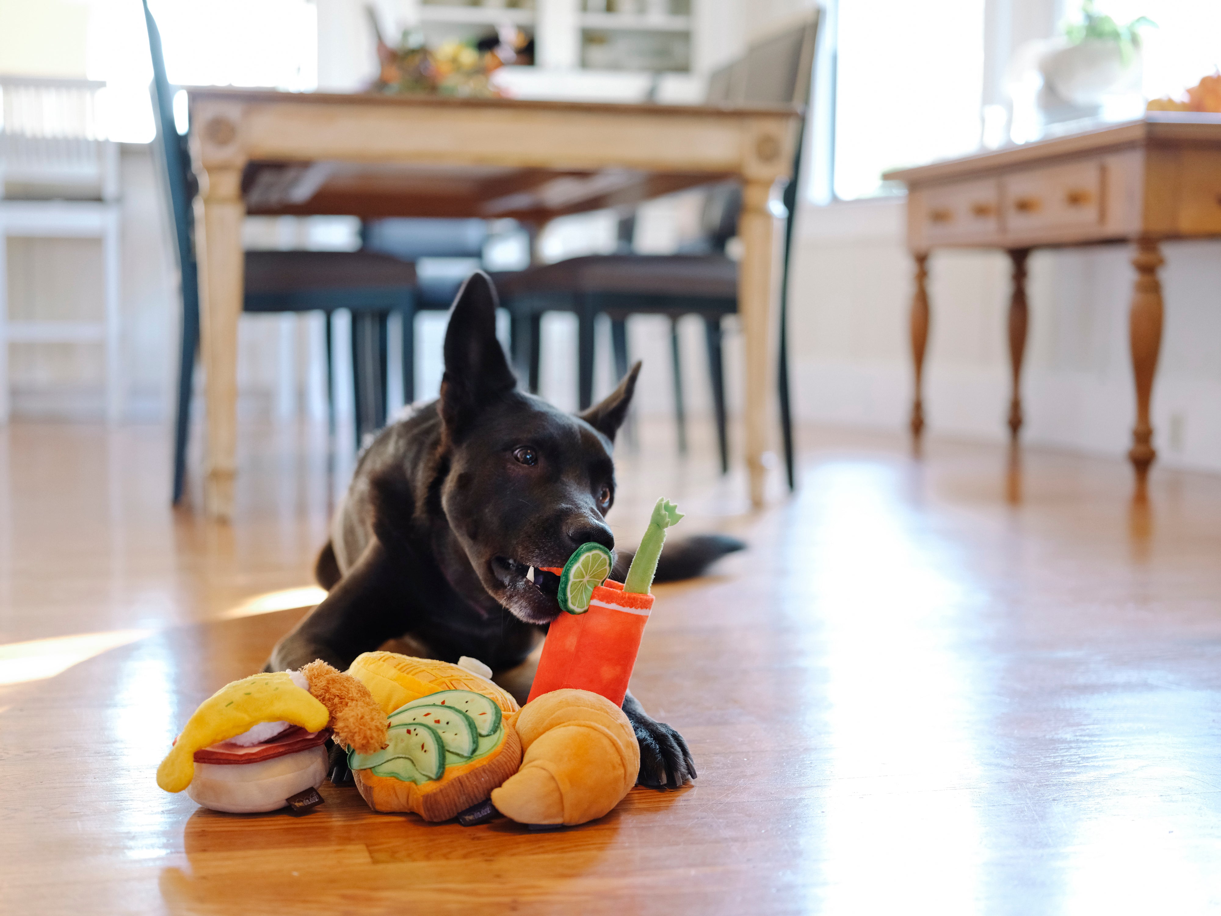 P.L.A.Y. Barking Brunch Plush Dog toys, Bundle