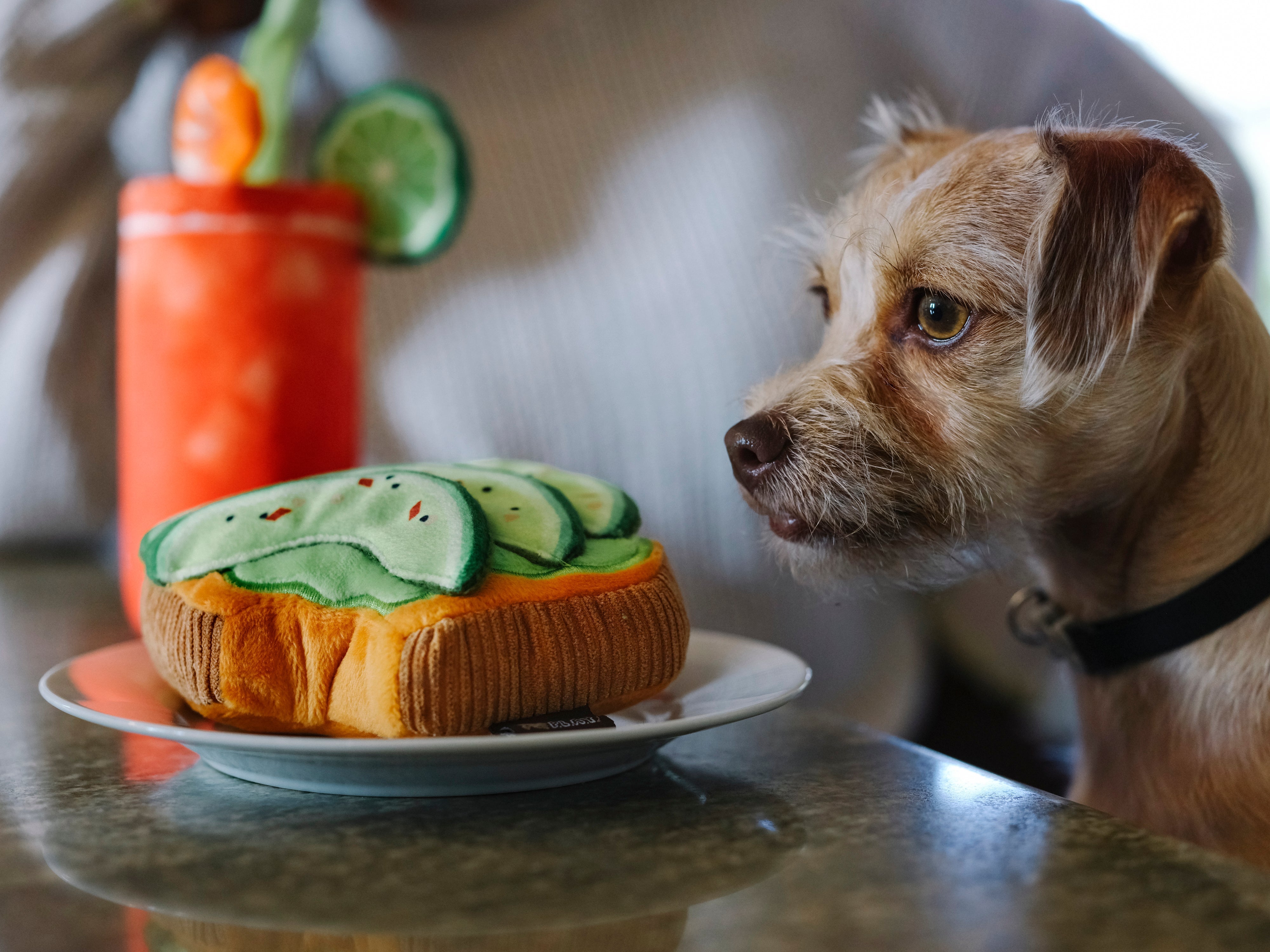 P.L.A.Y. Barking Brunch Plush Dog toys, Avo-doggo Toast