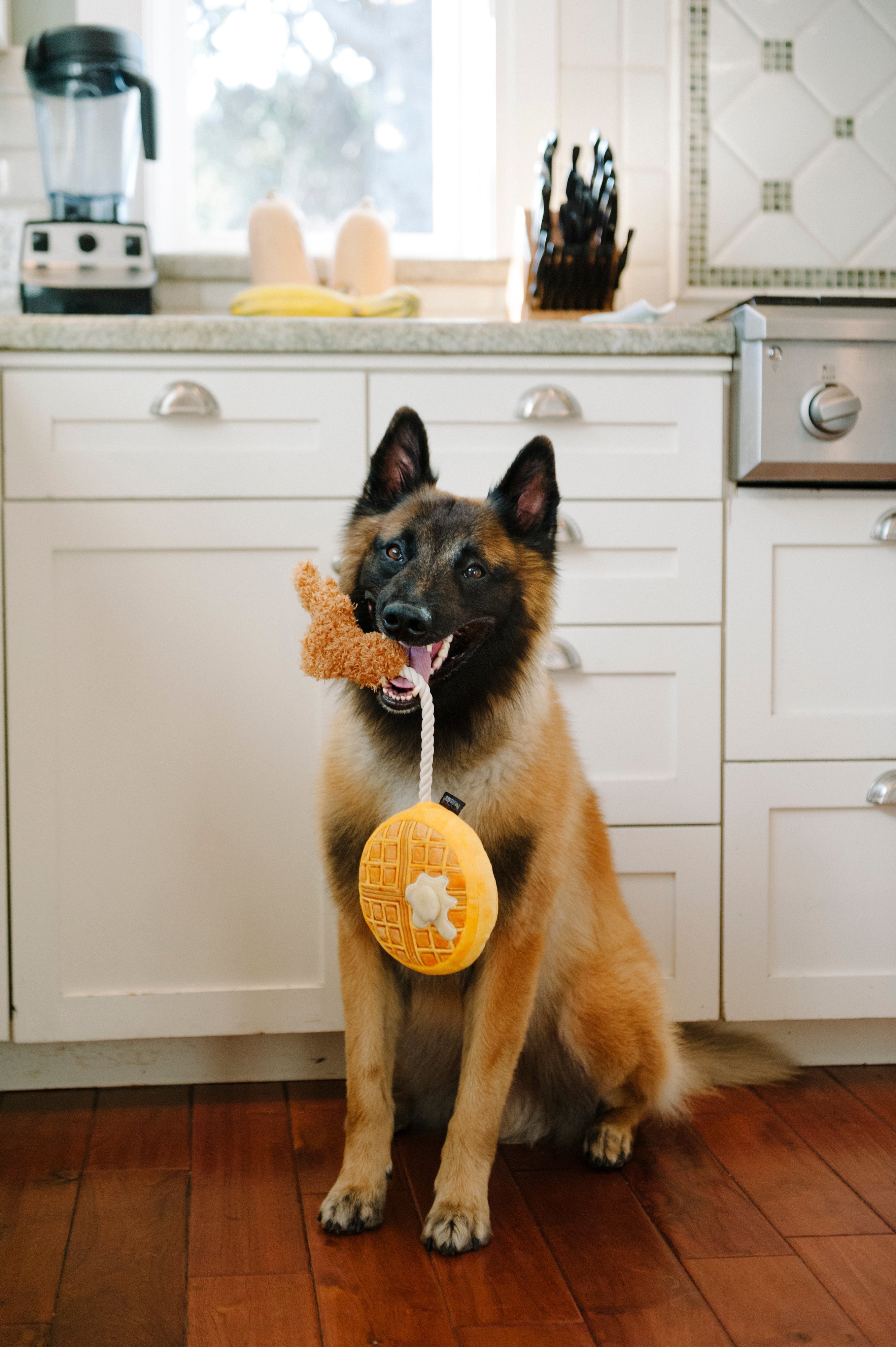 P.L.A.Y. Barking Brunch Plush Dog toys, Chicken and Woofles