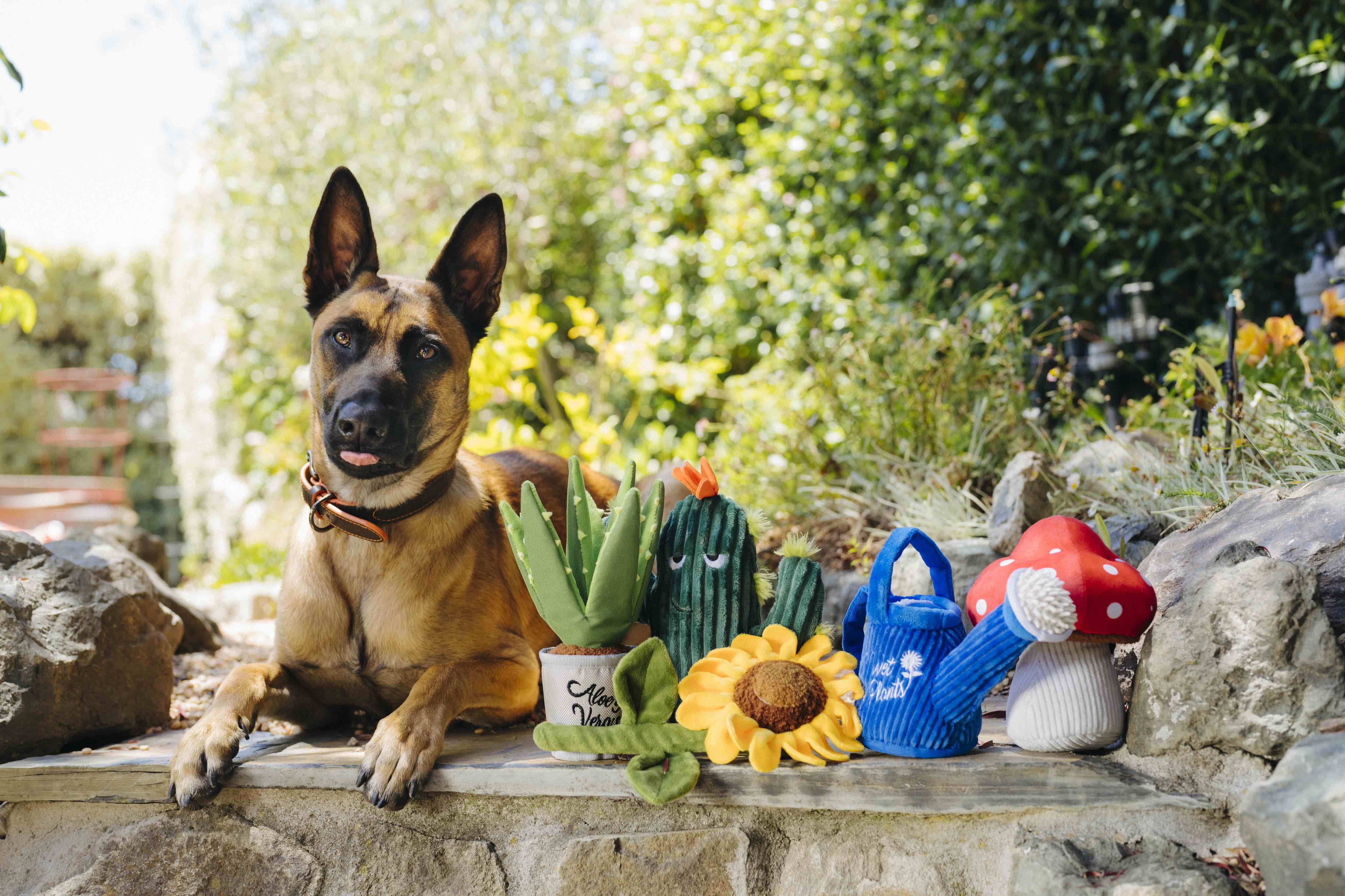 P.L.A.Y. Blooming Buddies Squeaky Plush Dog toys, Wagging Watering Can