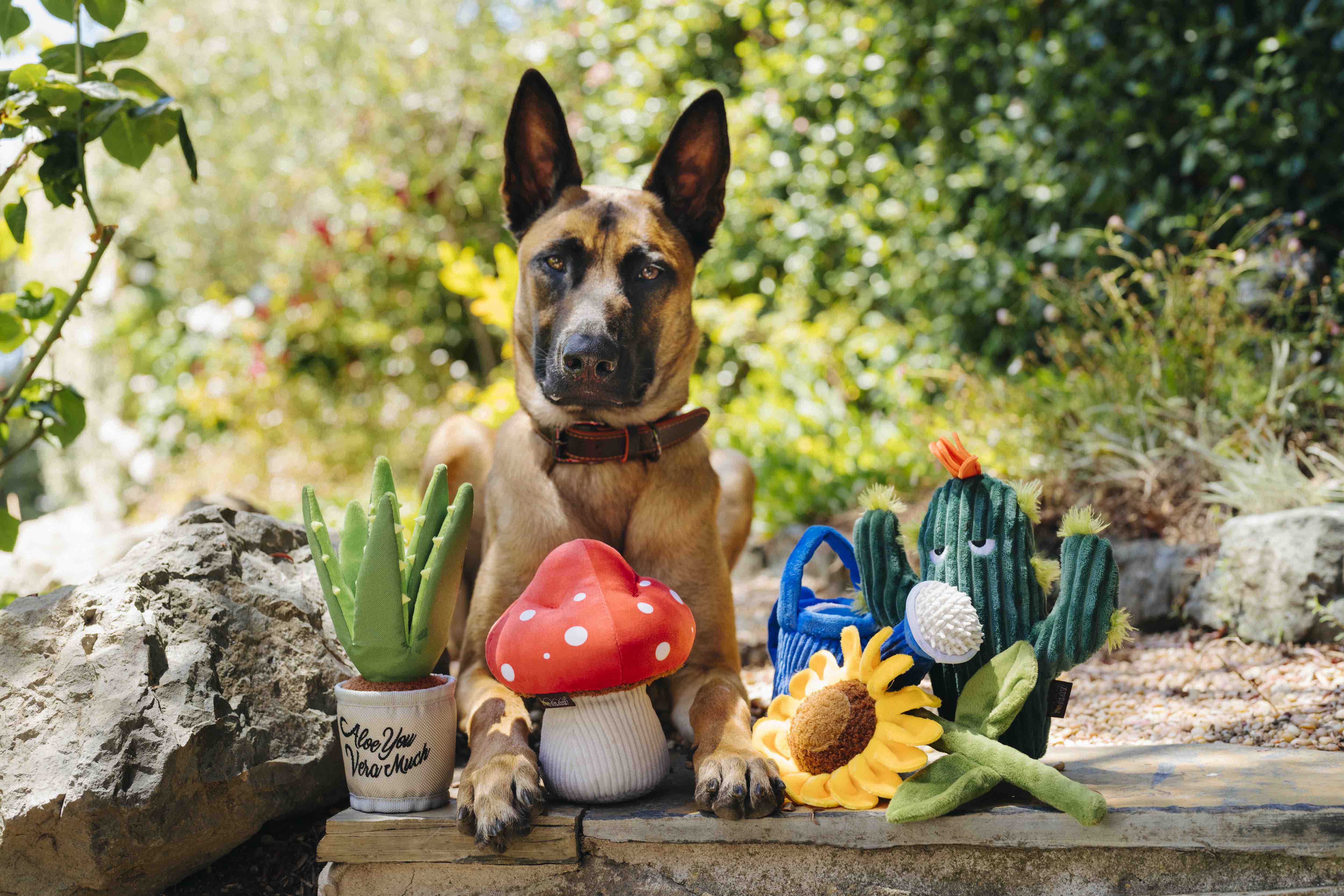 P.L.A.Y. Blooming Buddies Squeaky Plush Dog toys, Mutt's Mushroom