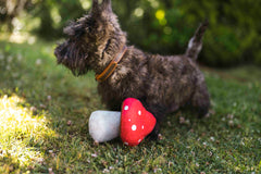 P.L.A.Y. Blooming Buddies Squeaky Plush Dog toys, Mutt's Mushroom