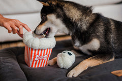 Hollywoof Cinema Squeaky Plush Dog toys, Poppin' Popcorn