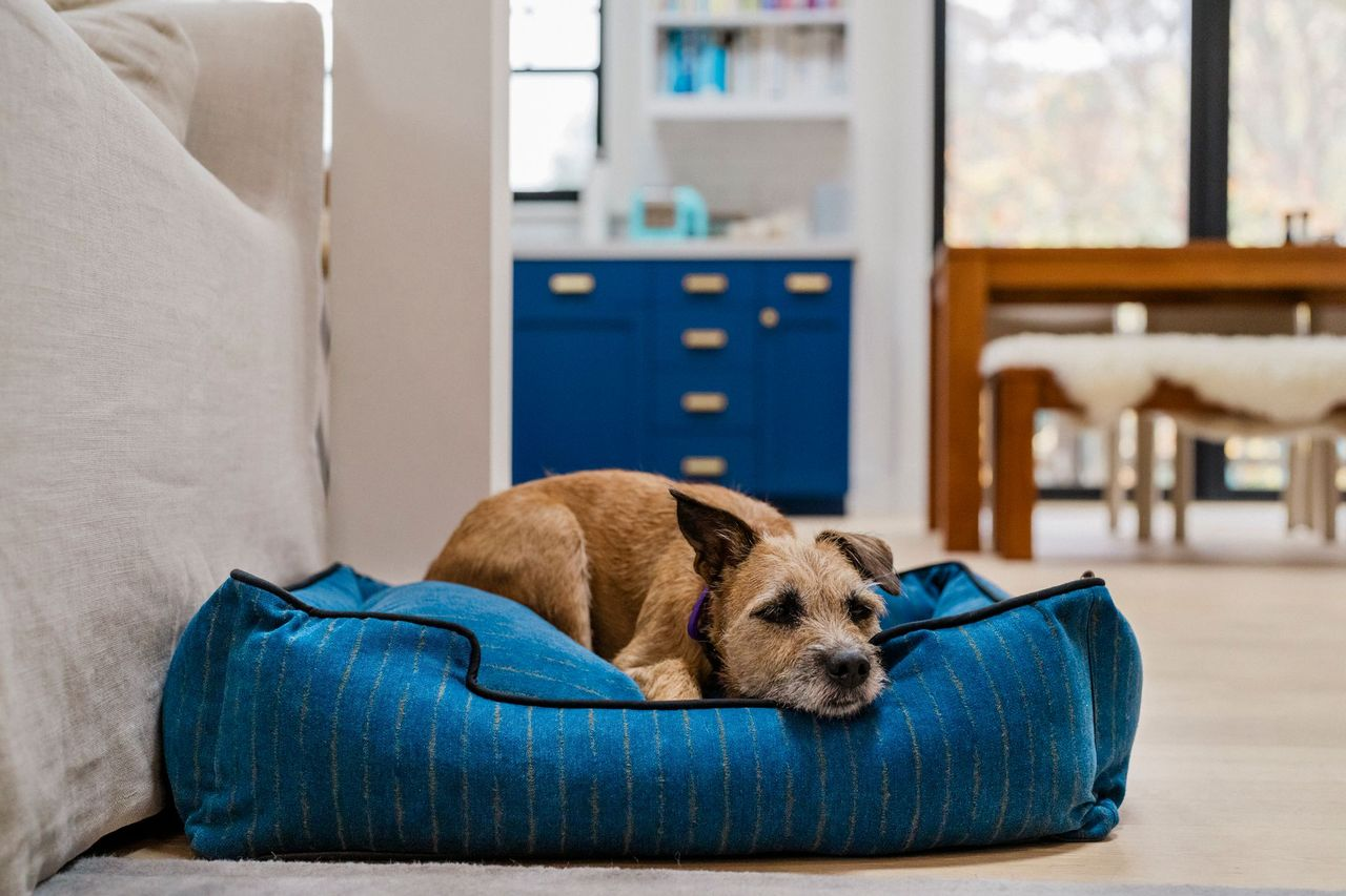 Lounge Dog Bed: Manhattan The Chelsea