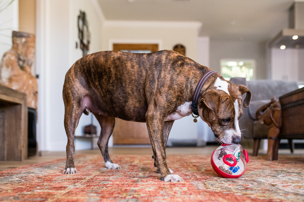 Interactive P.L.A.Y. Wobble ball 2.0, Holiday Edition