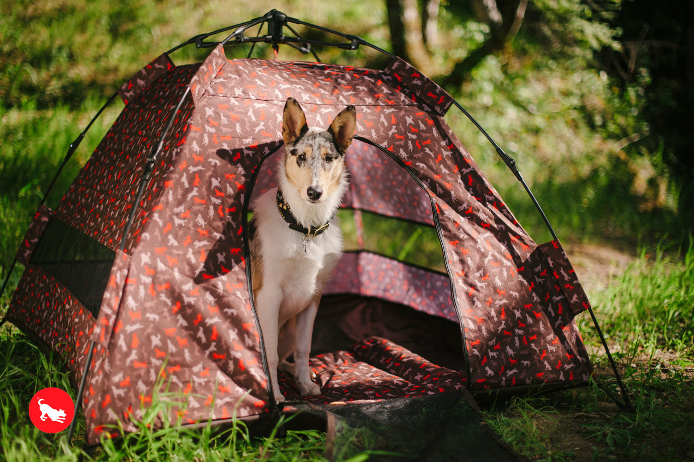 Outdoor Dog Tent in Mocha