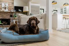 Lounge Dog Bed: Manhattan The Tribeca