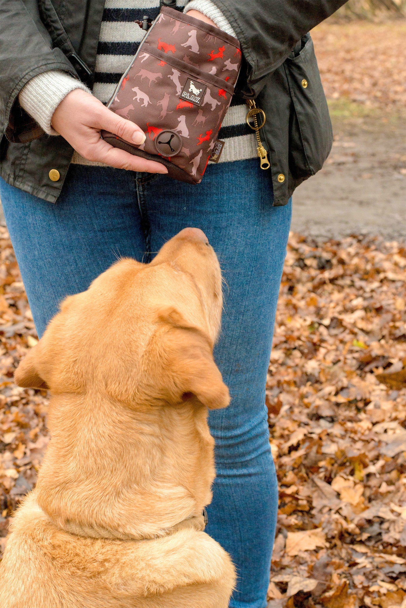 Deluxe Training Pouch