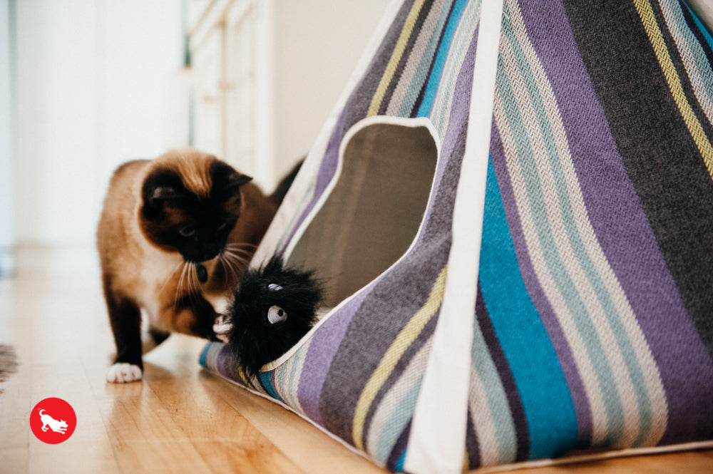 Feline Frenzy, Cat Toy set: Frisky Furball