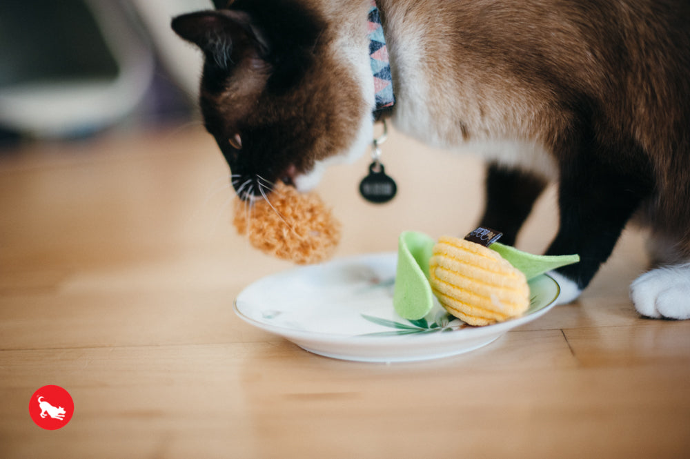 Feline Frenzy, Cat Toy set: Perfect Picnic