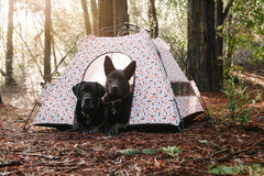 Outdoor Dog Tent in Vanilla