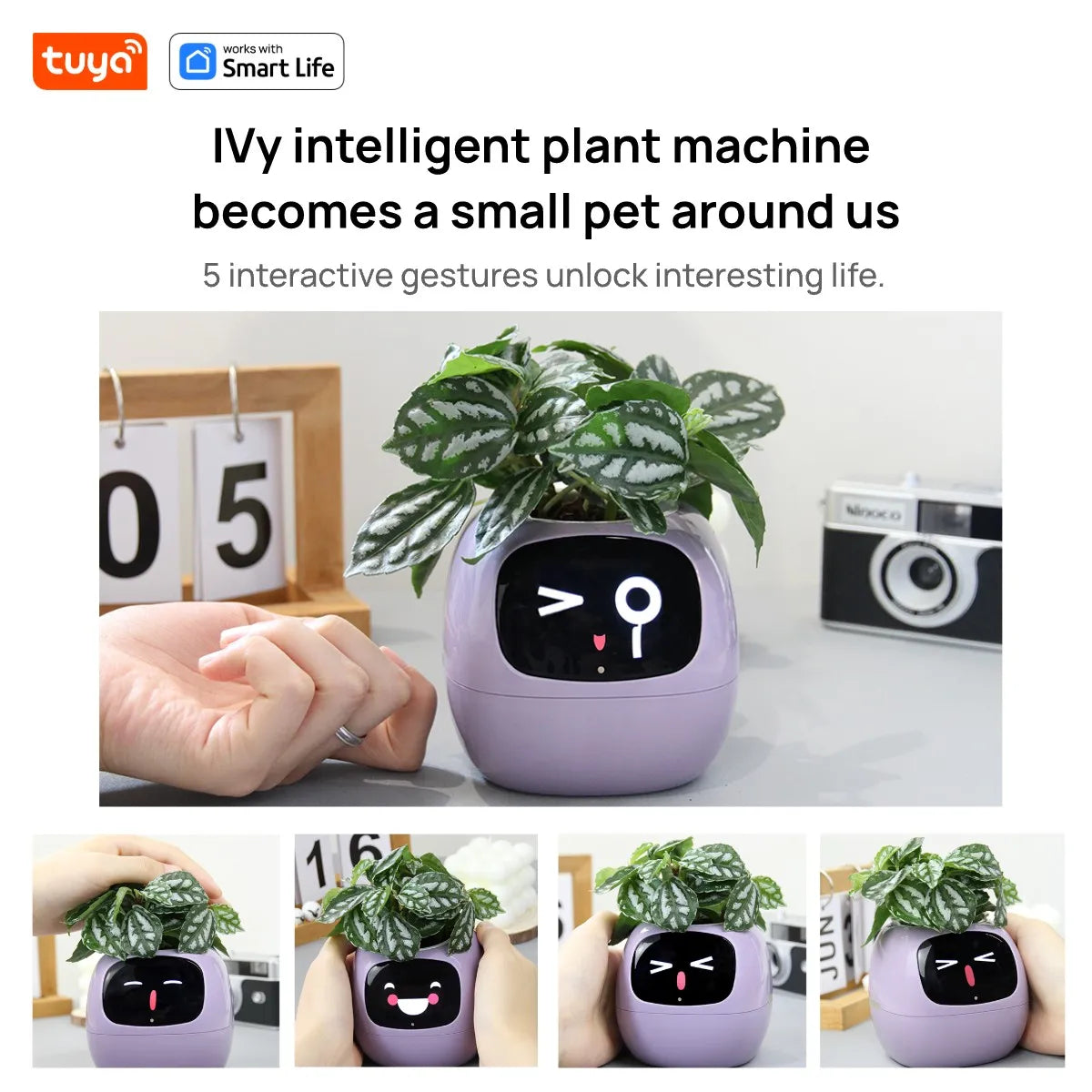 IVY Intelligent Interactive Smart Pot | Decoration Items |