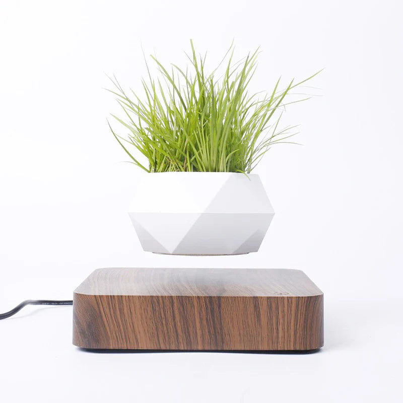 Levitating Air Bonsai Pot | Decoration Items |