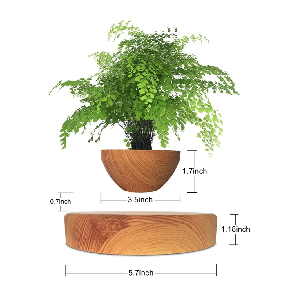 Levitating Air Bonsai Pot | Decoration Items |