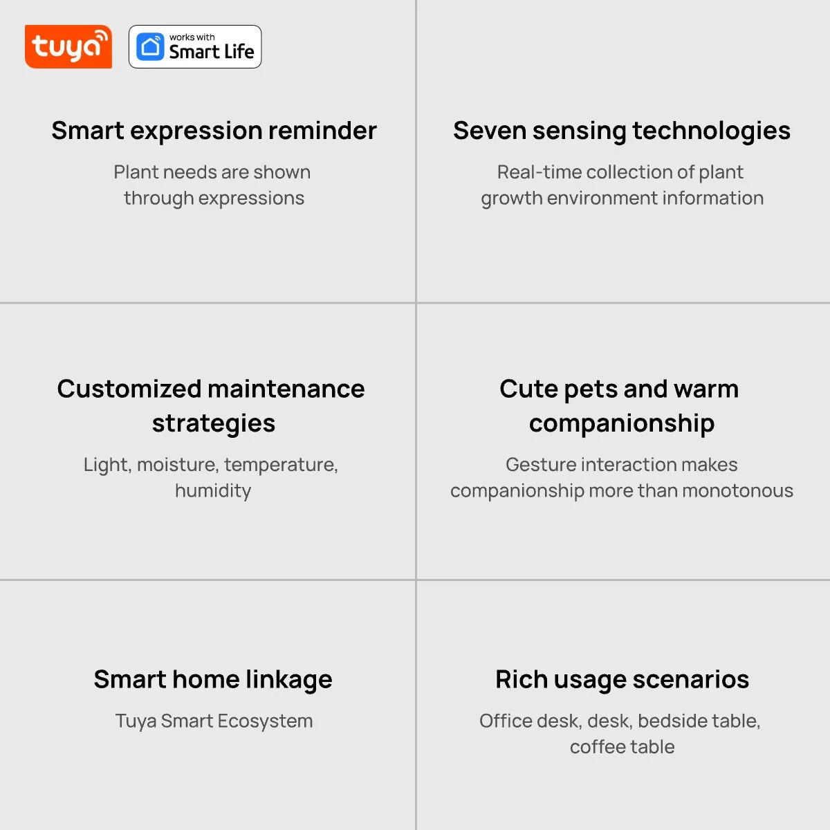 IVY Intelligent Interactive Smart Pot | Decoration Items |