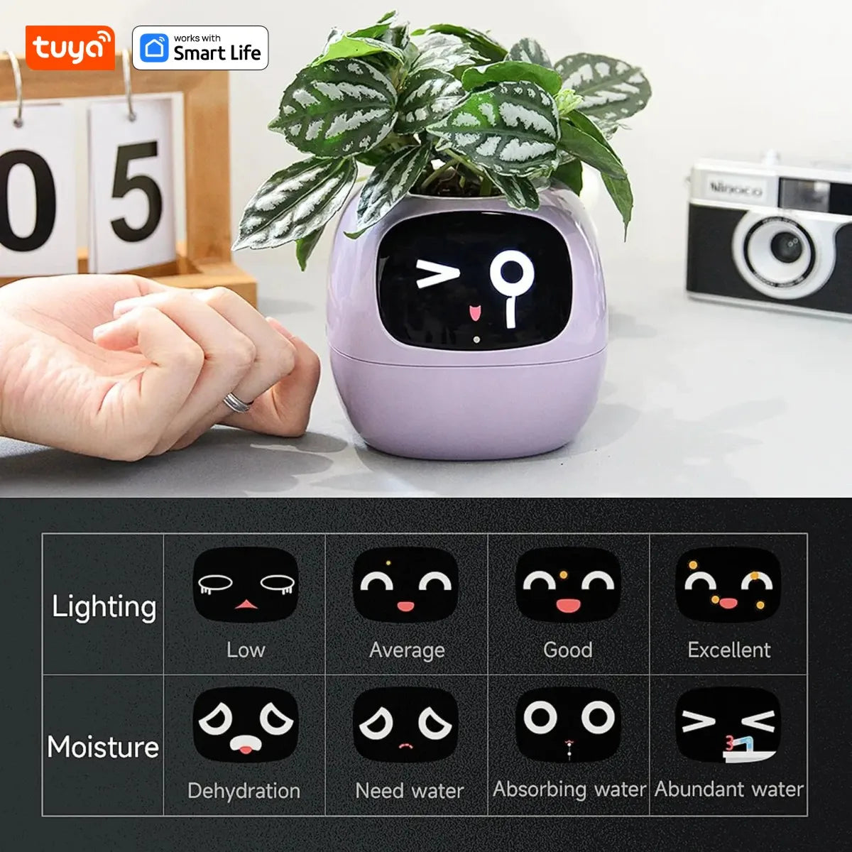 IVY Intelligent Interactive Smart Pot | Decoration Items |