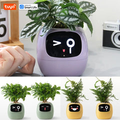 IVY Intelligent Interactive Smart Pot | Decoration Items |