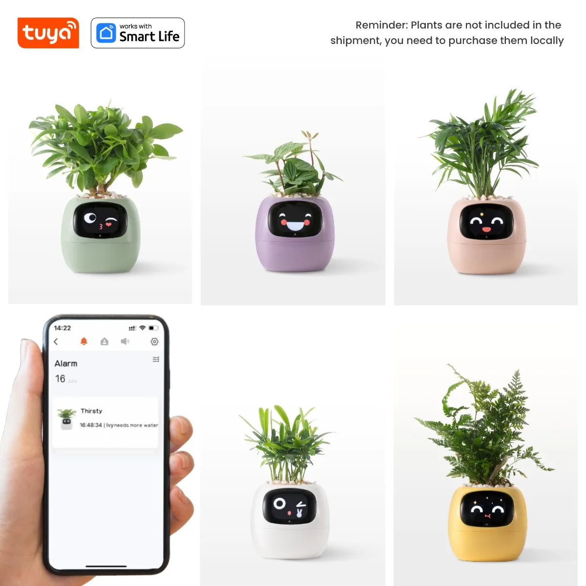 IVY Intelligent Interactive Smart Pot | Decoration Items |