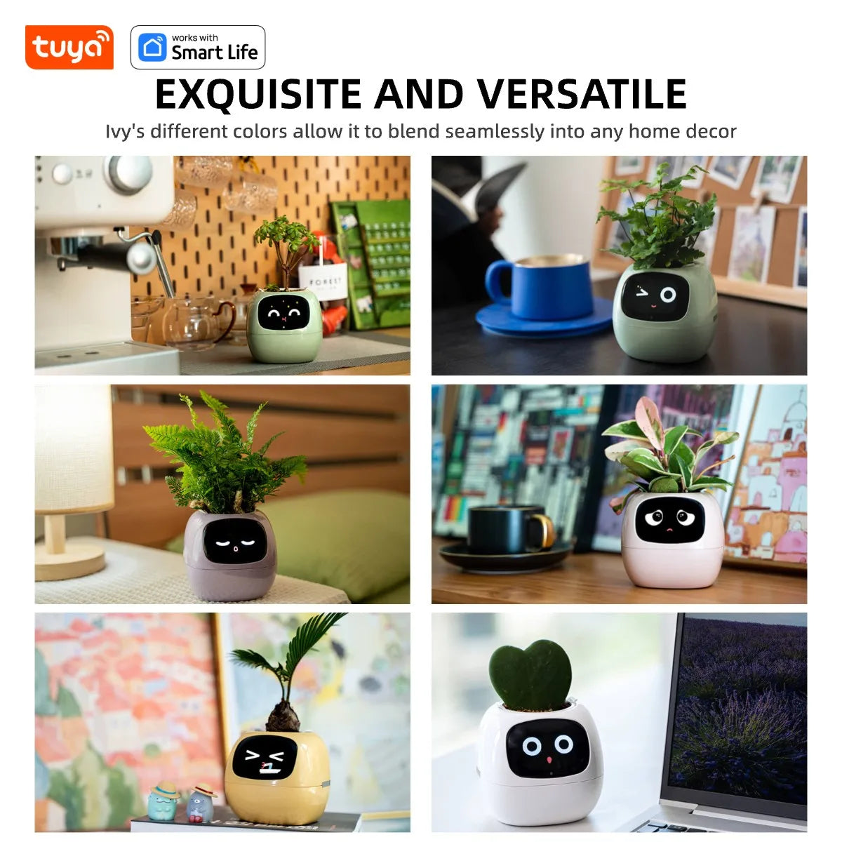 IVY Intelligent Interactive Smart Pot | Decoration Items |