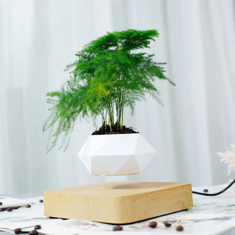 Levitating Air Bonsai Pot | Decoration Items |