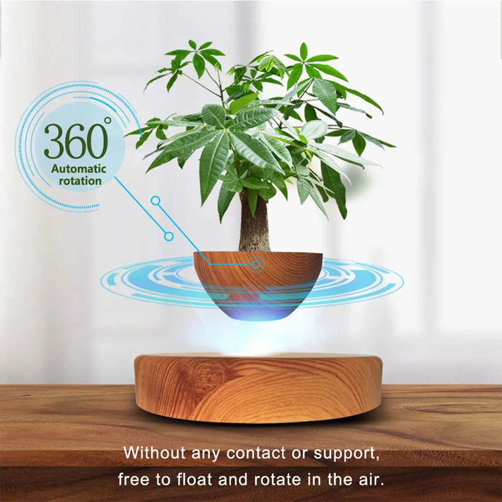 Levitating Air Bonsai Pot | Decoration Items |