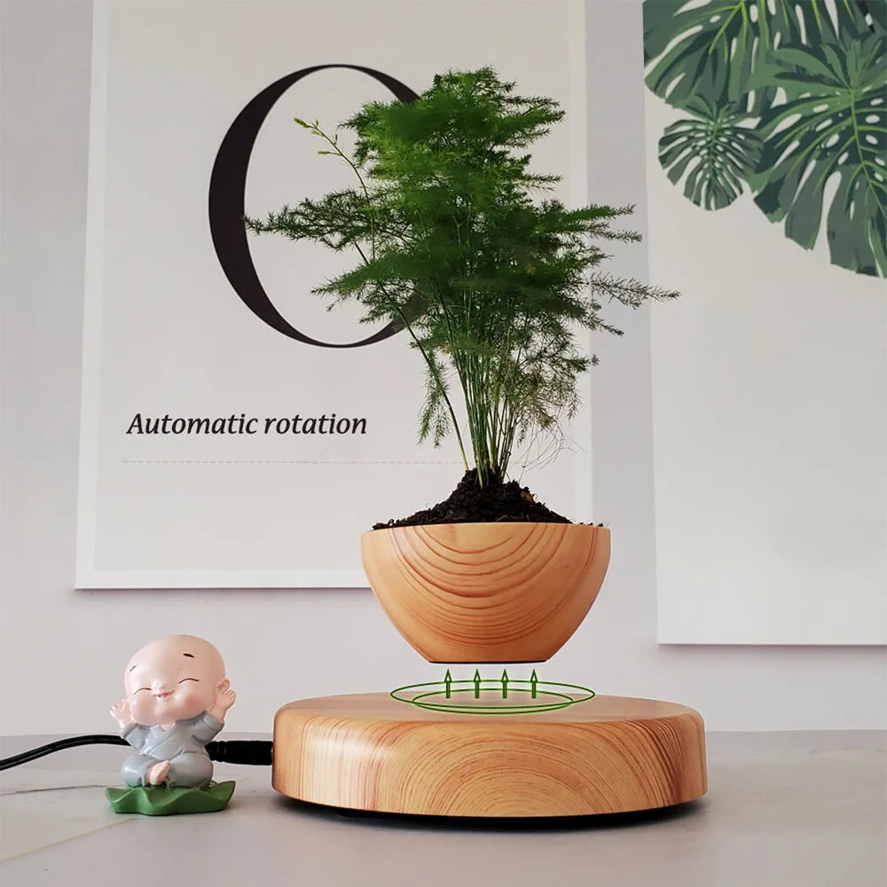 Levitating Air Bonsai Pot | Decoration Items |