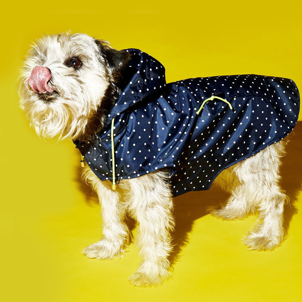 Anorak Dog Raincoat with Hood: Navy / White Polka Dot