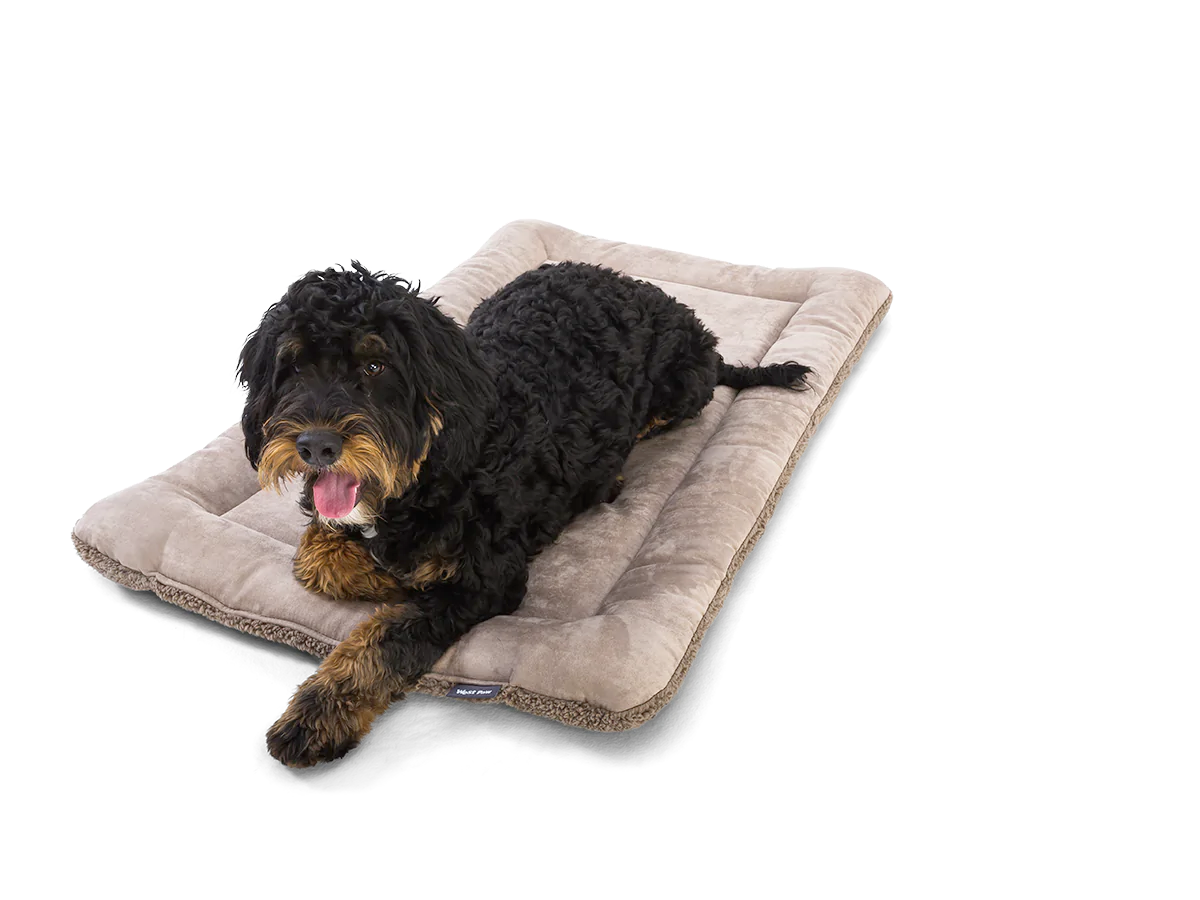 Big Sky Nap Dog Mat, Midnight