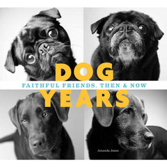 Book: Dog Years: Faithful friends, then and now