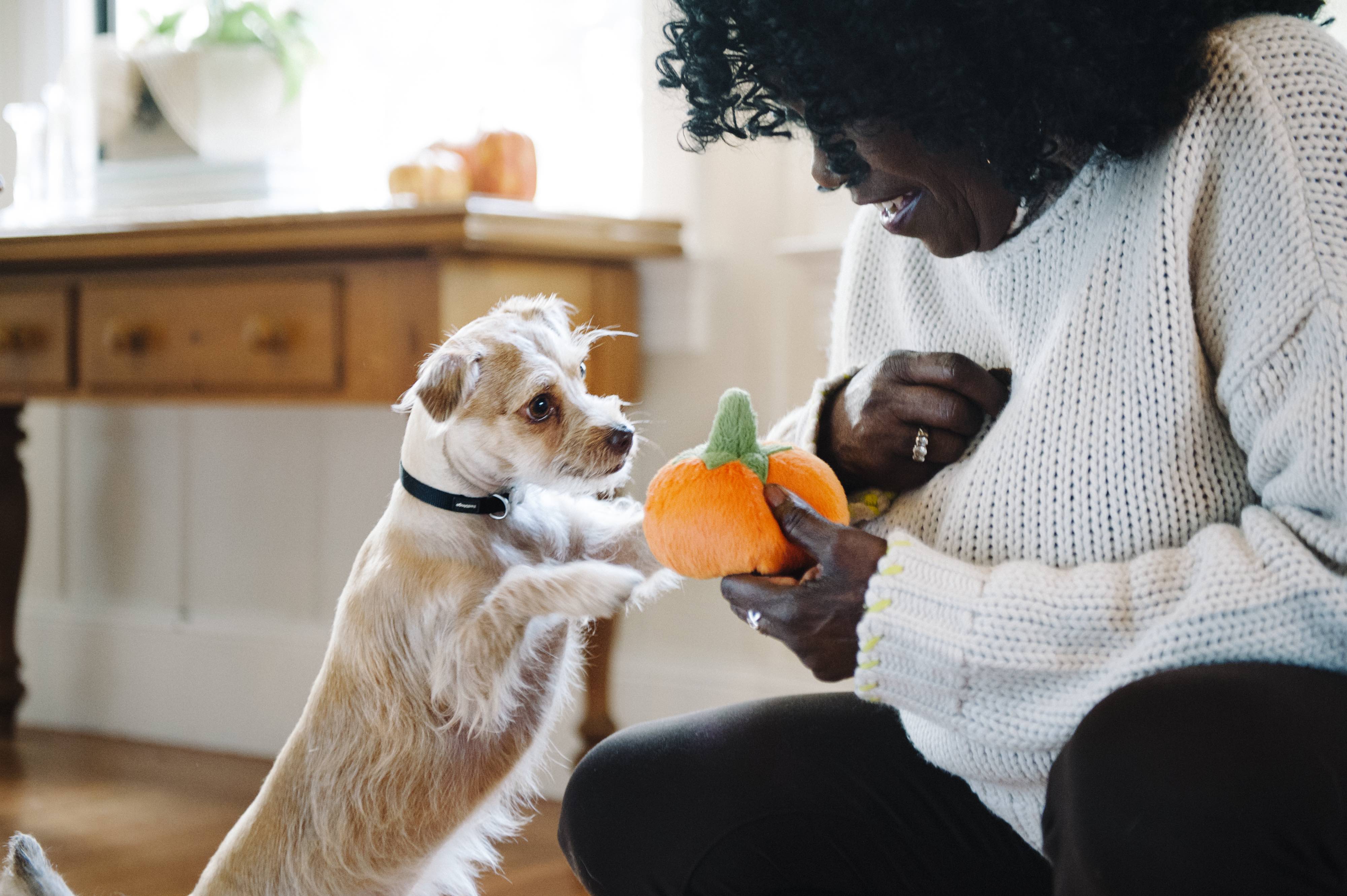 Garden Fresh Mini, Squeaky Plush Dog Toy